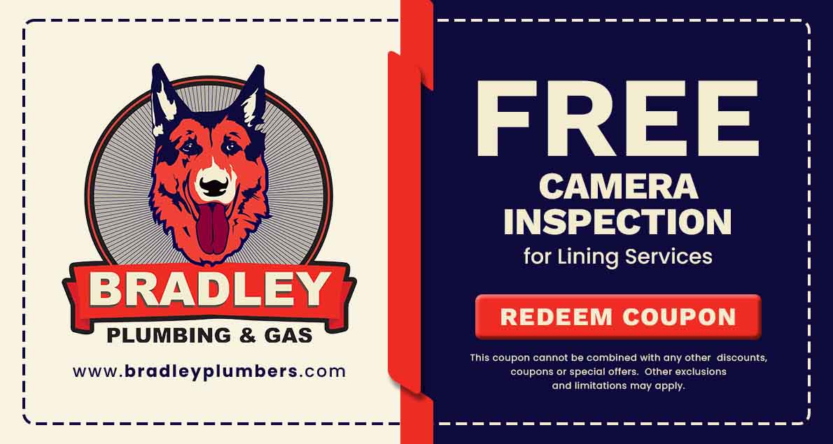 Free Camera Inspection